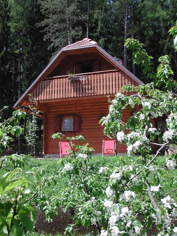 Вілла Agriturismo Bosco Di Museis Cercivento Екстер'єр фото